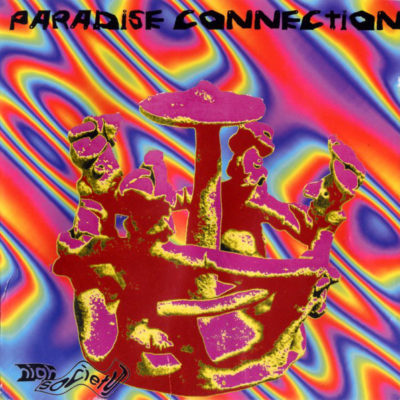 paradise-connection-paradise-connection