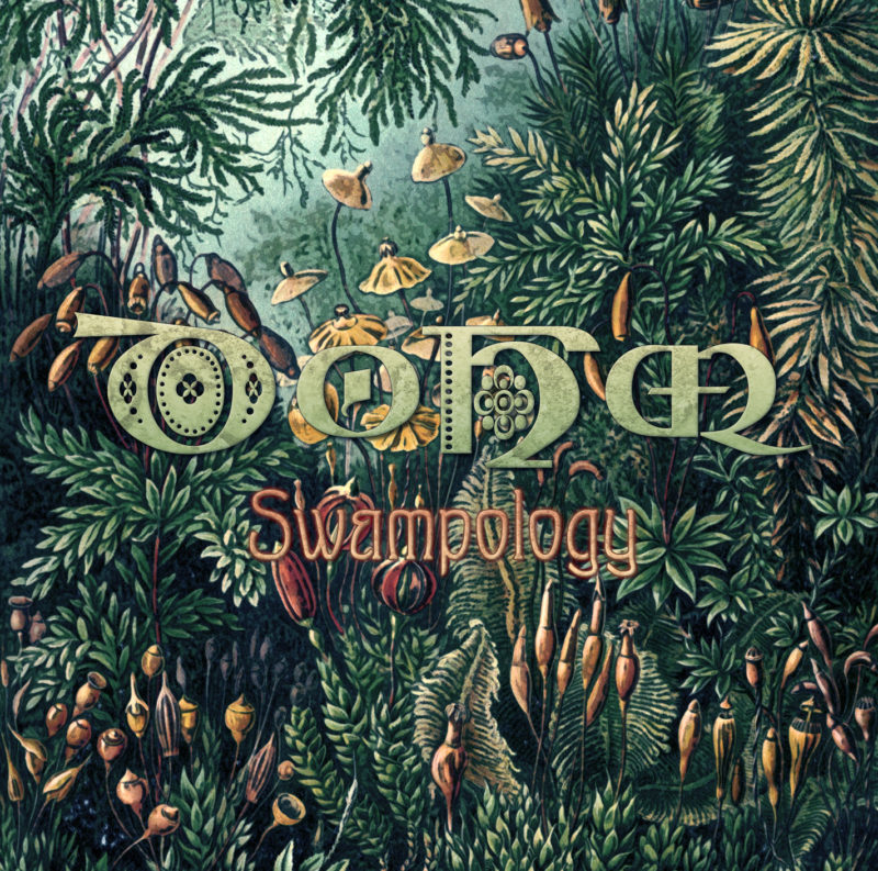 dohm-swampology-1