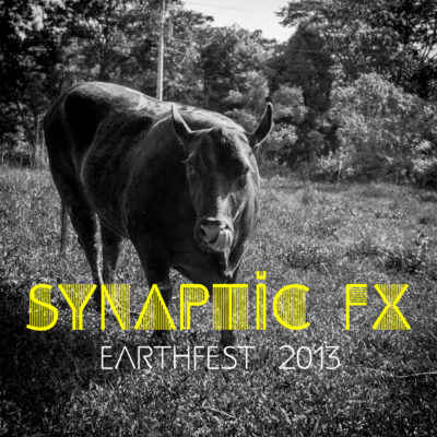 synaptic-fx-earthfest-2013